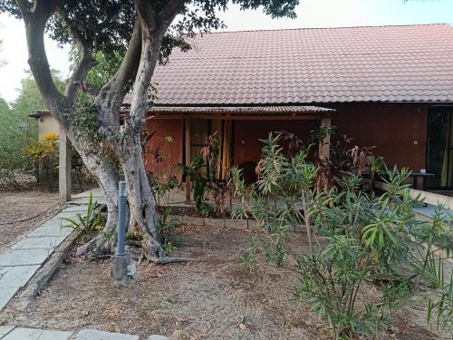 uma casa com uma árvore na frente em Chez Mathilde em Cap Skirring