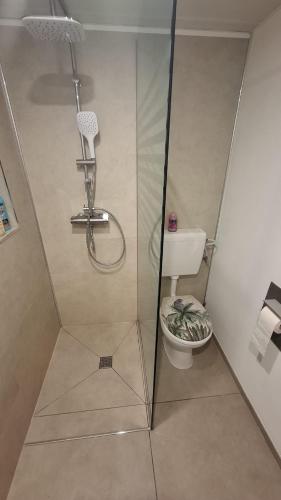 a bathroom with a shower and a toilet in it at Escapade en Ardenne - Appartement Sur Jardin Verdoyant in Bertrix