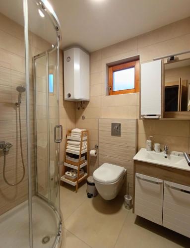 a bathroom with a shower and a toilet and a sink at Vila Sofija Mokra Gora in Mokra Gora