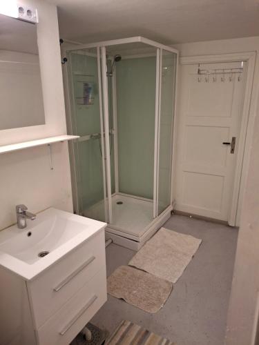 a bathroom with a shower and a sink at My Sweet Home in Fauske