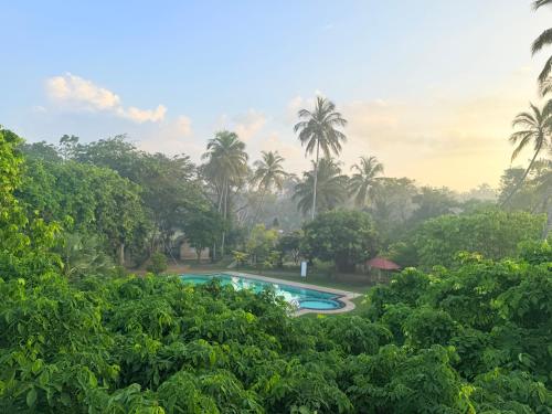 a view of the pool through the trees at Crown Holiday Village near Marawila in Nattandiya