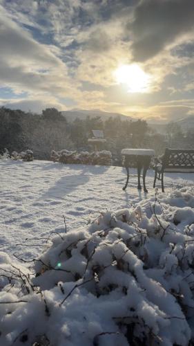 a snow covered field with a bench and the sun in the background at Braeburn Guesthouse in Fort William