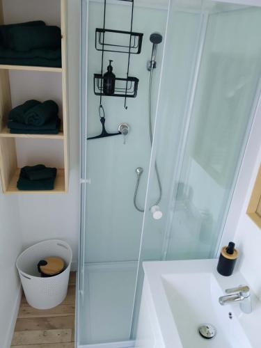 a bathroom with a shower and a white sink at Au 24 a connerre in Connerré