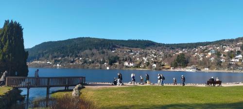 Gérardmer en famille ou entre amis