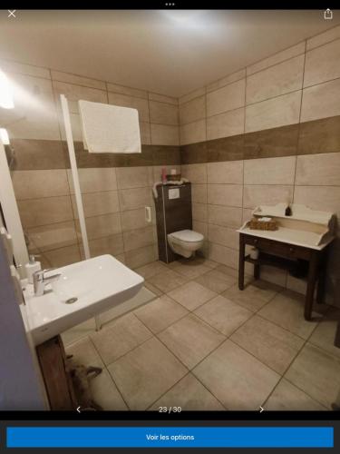 a bathroom with a sink and a toilet at Le petit Flotteur in Chevroches