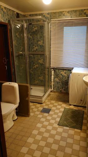 a bathroom with a shower and a toilet and a sink at Two bedroom Apartment 80m2 2nd floor in Bagn