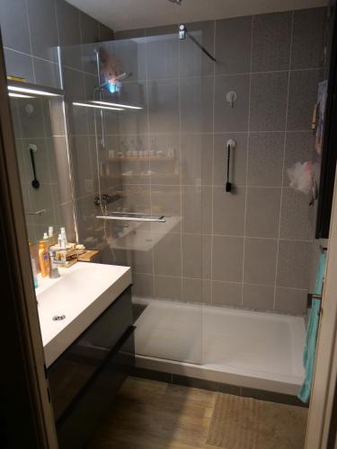 a bathroom with a shower with a sink and a tub at Le chalet in Oullins