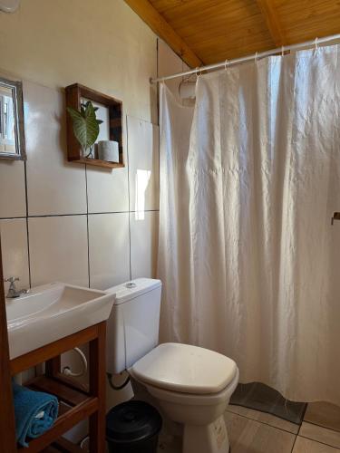 a bathroom with a toilet and a sink and a shower curtain at Bungalow Hostel Iguazú in Puerto Iguazú