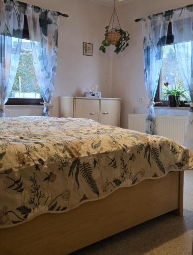 a bedroom with a bed and two windows at Ferienwohnung Schneeberg in Schneeberg