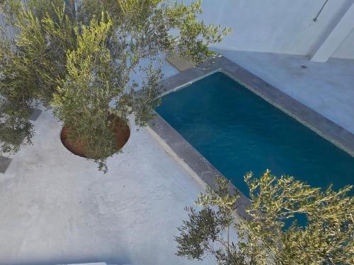 Piscina a Menzel LellaMina o a prop