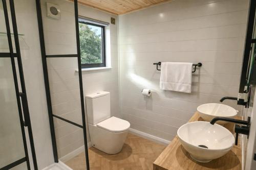 a bathroom with a toilet and a sink at Staining Luxury Lodges in Poulton le Fylde