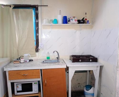 a small kitchen with a sink and a microwave at Apart Tunuyan B&B in Tunuyán