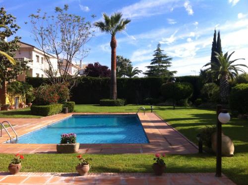 a swimming pool in a yard with a palm tree at La Casa de Luna Lunera in Córdoba