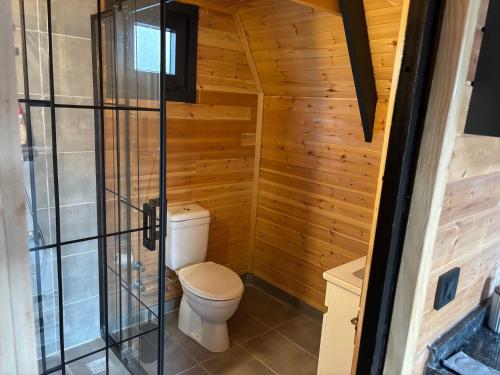 a bathroom with a toilet in a wooden cabin at Atlasluxuryhome mor in Samsun