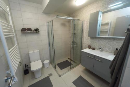 a bathroom with a shower and a toilet and a sink at Studio Apartments Itaka in Nikiti