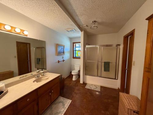 a bathroom with a sink and a shower and a toilet at The Piney Woods Cabin in Nacogdoches