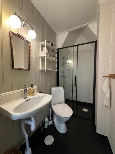 a bathroom with a sink and a toilet and a shower at Lägenhet Strömsberg C in Strömsberg