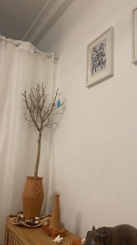 Foto de la galeria de Résidence chez-moi 