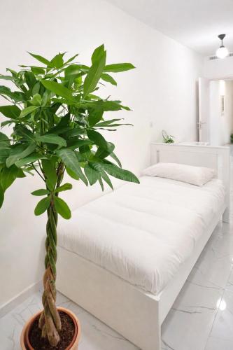 Bed & Garage Apartment in Villa