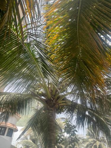Appartement Meublé Dakar Yoff Djily MBAYE