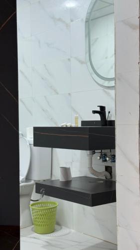 a bathroom with a sink and a toilet and a mirror at Elite Rum Camp in Disah