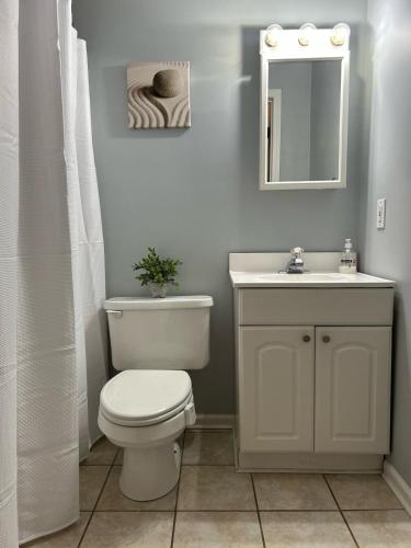 a bathroom with a toilet and a sink and a mirror at Under the Oaks, A Downtown Hidden Gem in Wilmington