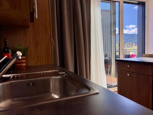 a kitchen with a stainless steel sink in front of a window at Winzerchalet in Sankt Lambrecht