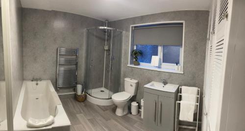 a bathroom with a toilet sink and a shower at By the Sea in Redcar