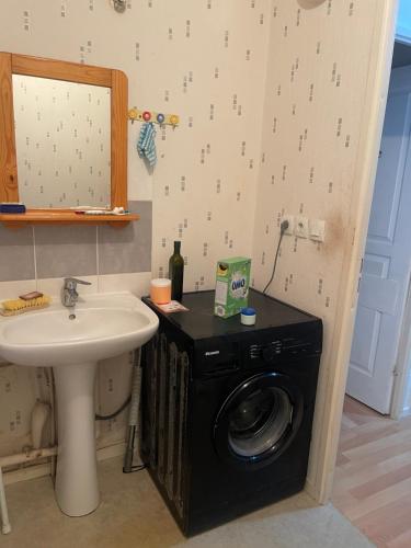 a bathroom with a washing machine and a sink at Lux 1 in Orléans