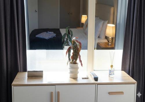 a cabinet with a mirror and a plant on it at Stylish Tawa Retreat in Wellington