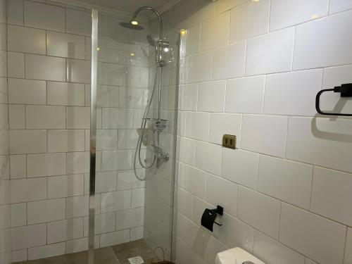 a bathroom with a shower with a glass door at Magnolia Mini House Casa A in Puerto Natales
