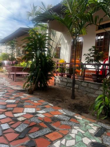 a house with palm trees and a stone walkway at Homsetay Đồng Phát in Ấp Thiện Phước