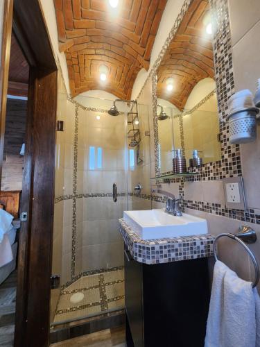 a bathroom with a sink and a shower at Casita Privada del Chan in Guanajuato