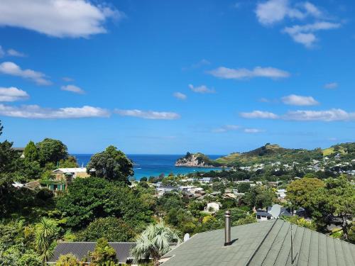 a view of the ocean from the roof of a house at Cathedral Cove Retreat in Hahei