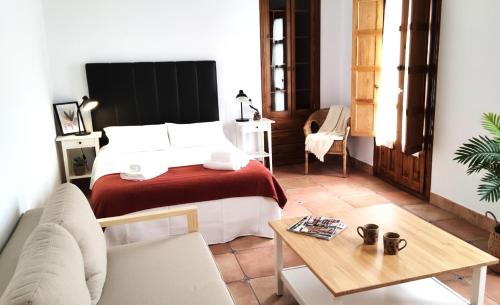 Central studio in San Pablo Salamanca by beBalmy