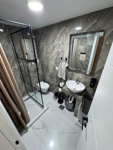 a bathroom with a sink and a shower and a toilet at Apartment Star 2 Ledine in Beograd