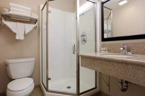 y baño con ducha, aseo y lavamanos. en Raincross Hotel Riverside, en Riverside