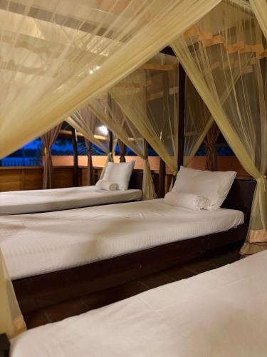 two beds in a room with mosquito nets at The Cove Pasikuda - Eco Retreat in Pasikuda