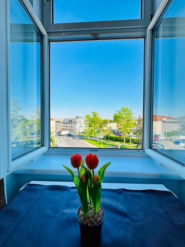 Comfortable Private Rooms in 3BR Apartment Near Kaufpark Alterlaa