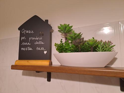 a shelf with a bowl and plants on it at Appartamento Miramare in Vado Ligure