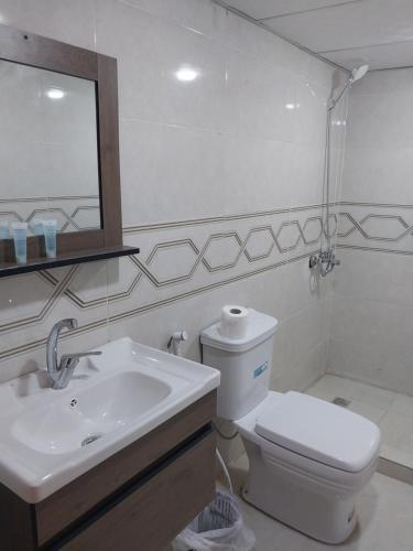 un bagno con lavandino, WC e specchio di Essam a Wadi Rum