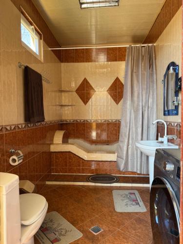 a bathroom with a toilet and a sink and a shower at The Bondo's Villa in Kobuleti
