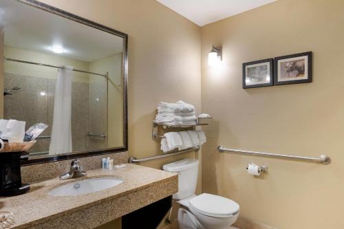 a bathroom with a toilet and a sink and a mirror at Comfort Suites Anchorage International Airport in Anchorage