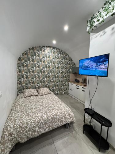 a bedroom with a bed and a flat screen tv at Studio rénové centre-ville - Tram et Parking gratuit in Saint-Jean-de-Védas