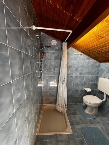 a bathroom with a toilet and a shower at Terrazza Belvedere Sanremo in Sanremo
