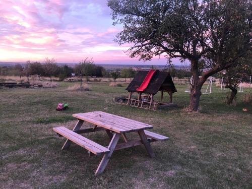 a picnic table and a gazebo in a field at Ferienhof Löbejün in Löbejün