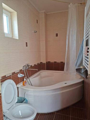 a bathroom with a white tub and a toilet at Садиба в Бабаєво in Perechin