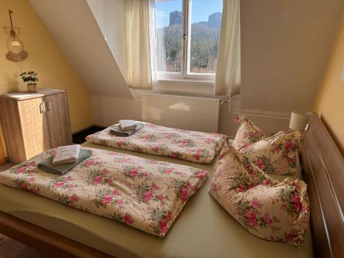 two beds in a room with a window at Falkenstein-Hütten in Bad Schandau