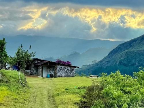 a house on a grassy hill with a dirt road in front at Riverston view hostel in Matale