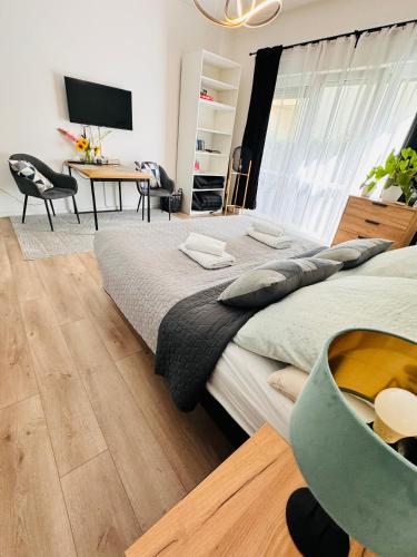 a bedroom with two beds and a desk and a tv at Ferienwohnung Jurga in Pirna